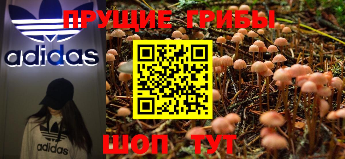 Изобильный  Псилоцибиновые грибы Magic Shrooms  Вход с VPN 